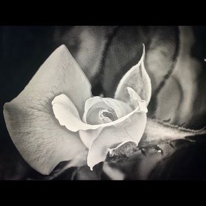 Meet your Posher, Eve